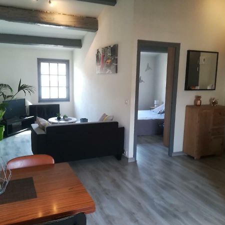 Appartement "Le Passage" 50 Passage De L'Ancien Courrier Narbona Zewnętrze zdjęcie