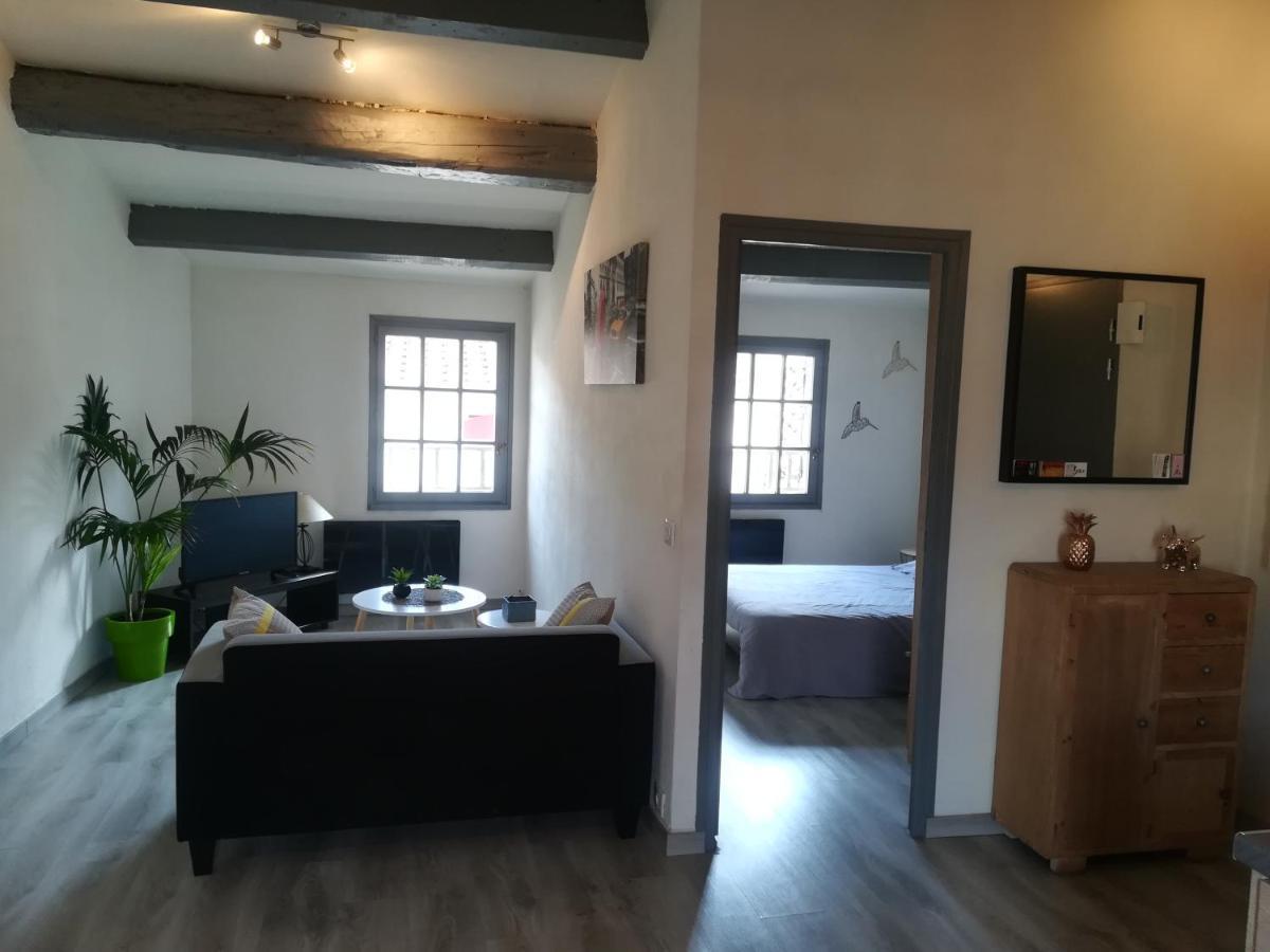 Appartement "Le Passage" 50 Passage De L'Ancien Courrier Narbona Zewnętrze zdjęcie
