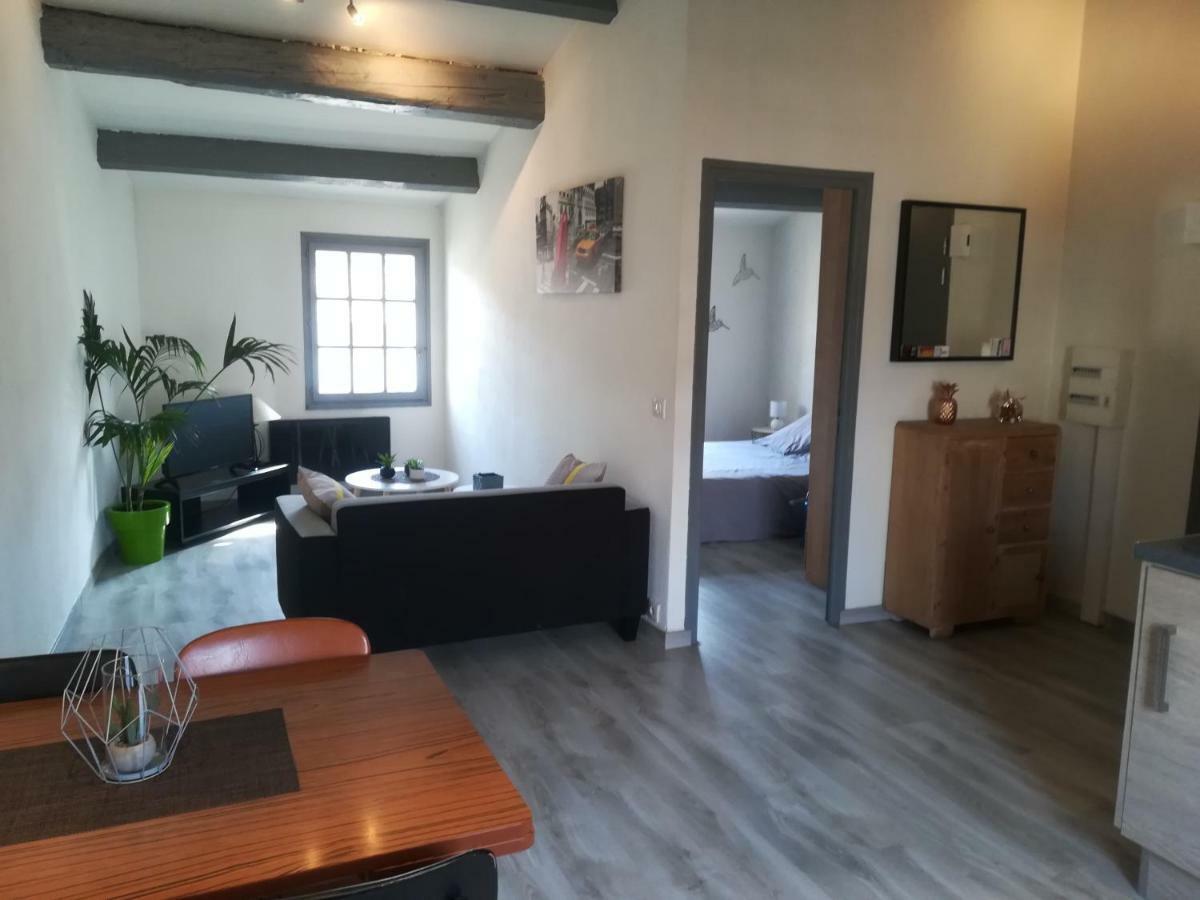 Appartement "Le Passage" 50 Passage De L'Ancien Courrier Narbona Zewnętrze zdjęcie