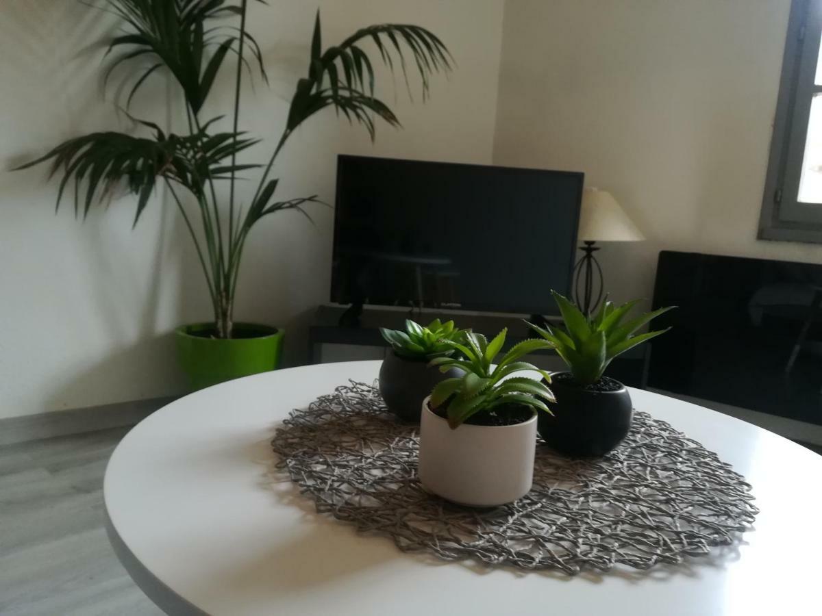 Appartement "Le Passage" 50 Passage De L'Ancien Courrier Narbona Zewnętrze zdjęcie